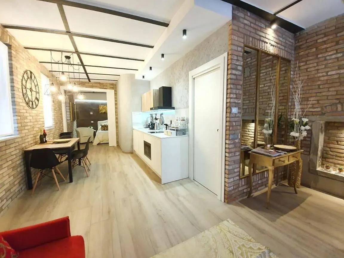 Ca Cici Venice Loft Apartment